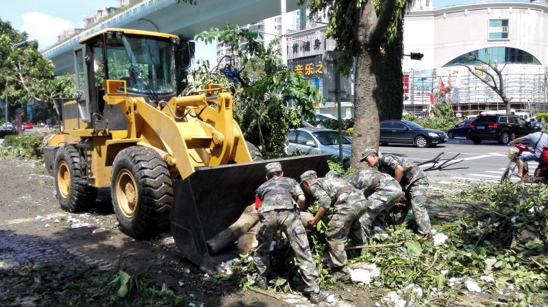 清理马路上堆积的垃圾、树枝