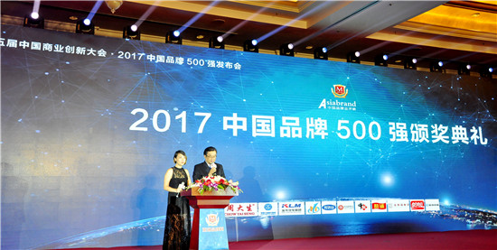 第五届中国商业创新大会暨2017中国品牌500强