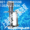 FYW型耐腐蚀液下泵-上海意海耐腐蚀泵制造有限公司荣誉出品
