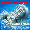 供应KCB(2CY)型齿轮式输油泵-上海意海耐腐蚀泵制造有限公司荣誉出品