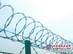 供应刺绳 刀片刺绳 刺网