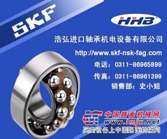 巢湖SKF进口轴承总代理浩弘轴承经销部
