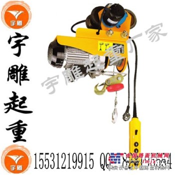 220V电压微型电动葫芦|上海微型电动提升机精配