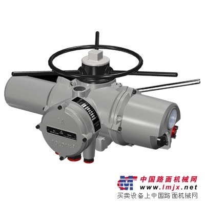 英国罗托克ROTORK执行器