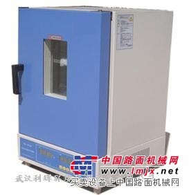 武漢杭州利輝大型立式電熱鼓風幹燥箱