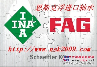 INA轴承直线轴承恩斯克浮直线导轨轴承现货中心