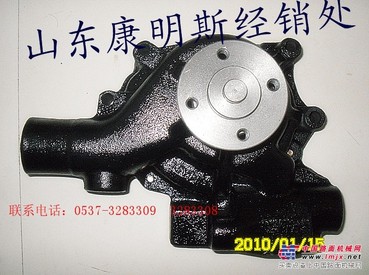 山东供应康明斯B3.3水泵