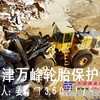 铲车轮胎保护链，铲土机保护链，铲土装载机轮胎保护链