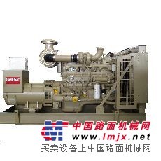 供應(yīng)工廠用柴油發(fā)電機(jī)組