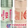 博士曼快熔FWP-50A22F FWP-80A22F
