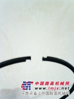 长期大量供应优质密封涨圈