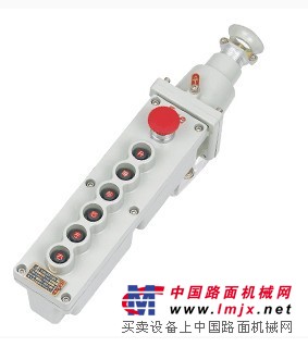 BAK31,BAK31防爆按钮，防爆电动葫芦按钮