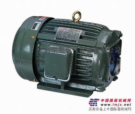 SHEN YU INDUSTRIAL CO.,LTD 电机