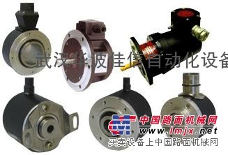 供应法国雷恩编码器 