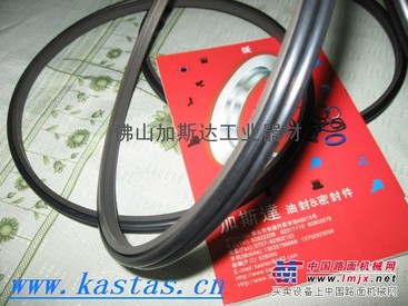 MERKEL双唇防尘密封PT1型230-246-11.5