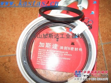 供应POLYPAC密封件DBM-551452