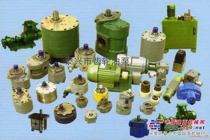 供应优质齿轮泵、齿轮油泵、双向润滑油泵、油泵电机组、优质供应