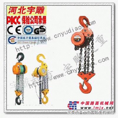 群吊电动葫芦|爬架电动葫芦|低速环链电动葫芦