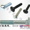 供应马车螺栓、马车栓、马车螺丝、半圆头方颈螺栓
