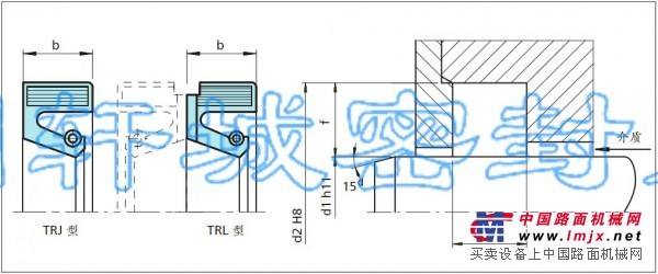 供应德国拉氏封径向油封 TRJ/TRL
