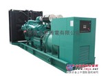 出租康明斯發電機組