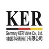 上海树典阀门进口止回阀