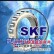 合肥进口轴承|SKF进口轴承浩弘原厂进口轴承销售