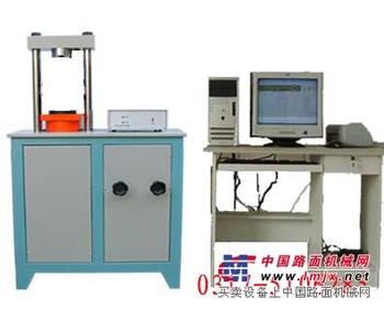 供应DYE-300S全自动水泥压力试验机（筑龙仪器）