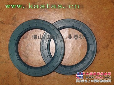 供应CFW骨架油封BAU5SLX2-82-120-13-10