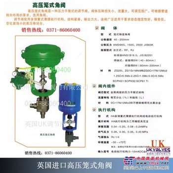 供应英国UK进口高压笼式角阀
