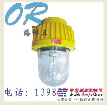 海洋王  BPC8730  防爆平台灯  BPC8720
