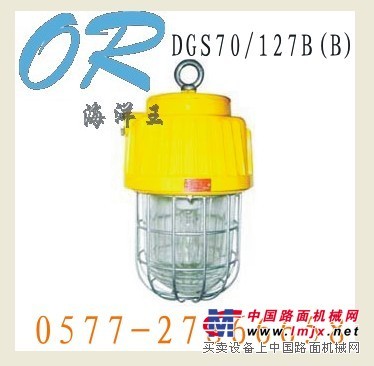 供应 DGS70/127B(B)  矿用隔爆型泛光灯  
