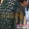 隧道采石场专用23.5-25耐磨王保护链ZL50装载机保护链