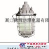 BAD51-J85隔爆型防爆节能灯