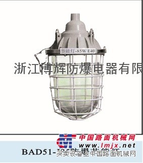 BAD51-J85隔爆型防爆节能灯