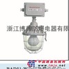 供应BAD51-W防爆无极灯