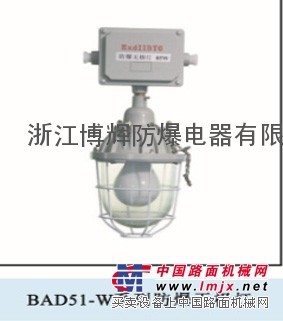 供应BAD51-W防爆无极灯