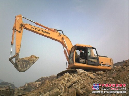 上海普陀區挖掘機出租、打樁機出租可包月、價格優惠