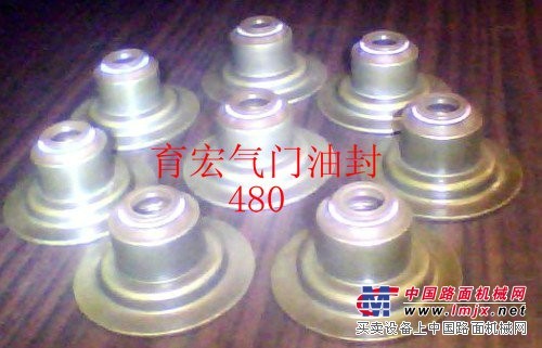 氟橡胶气门油封