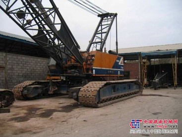 广东广西福建海南出租100吨履带吊