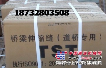 改良型无缝式TST弹塑体伸缩缝应用小伸缩量桥梁