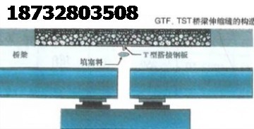 供应伸缩量小于50伸缩缝用高性能TST/GTF无缝技术