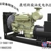 张家口出租100kw—1000kw发电机