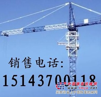 供应辽源东丰合利40塔吊