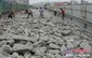 桥墩公路路面混凝土拆除