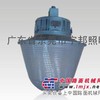 海洋王 NGC9820 海洋王悬挂灯 海洋王防爆灯具