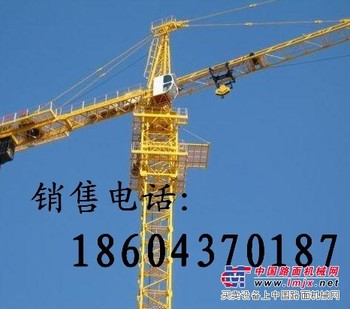 供应辽源华龙80塔吊