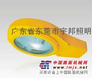 海洋王 BLC8610 海洋王道路灯 海洋王防爆灯具