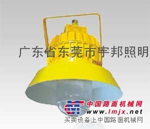 海洋王 BPC8710 海洋王平台灯 海洋王手电筒
