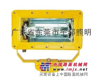 海洋王 BFC8100 海洋王泛光灯 海洋王防爆灯具 